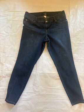 Torrid Dark Wash Stretch Skinny Jeans
